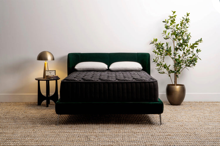 Bed in a Box Mattresses Free Nationwide Shipping Sleep Basil