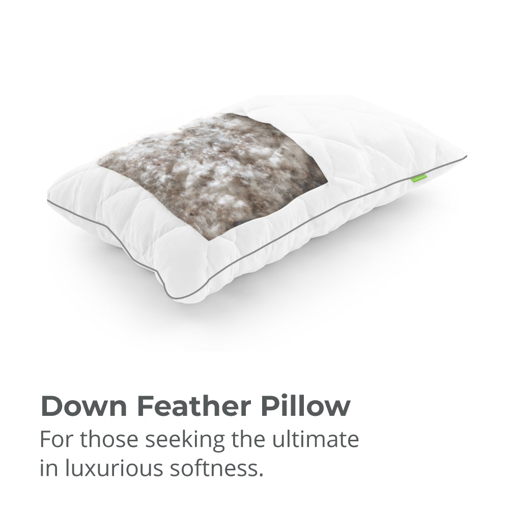 Cariloha Down Feather Pillow