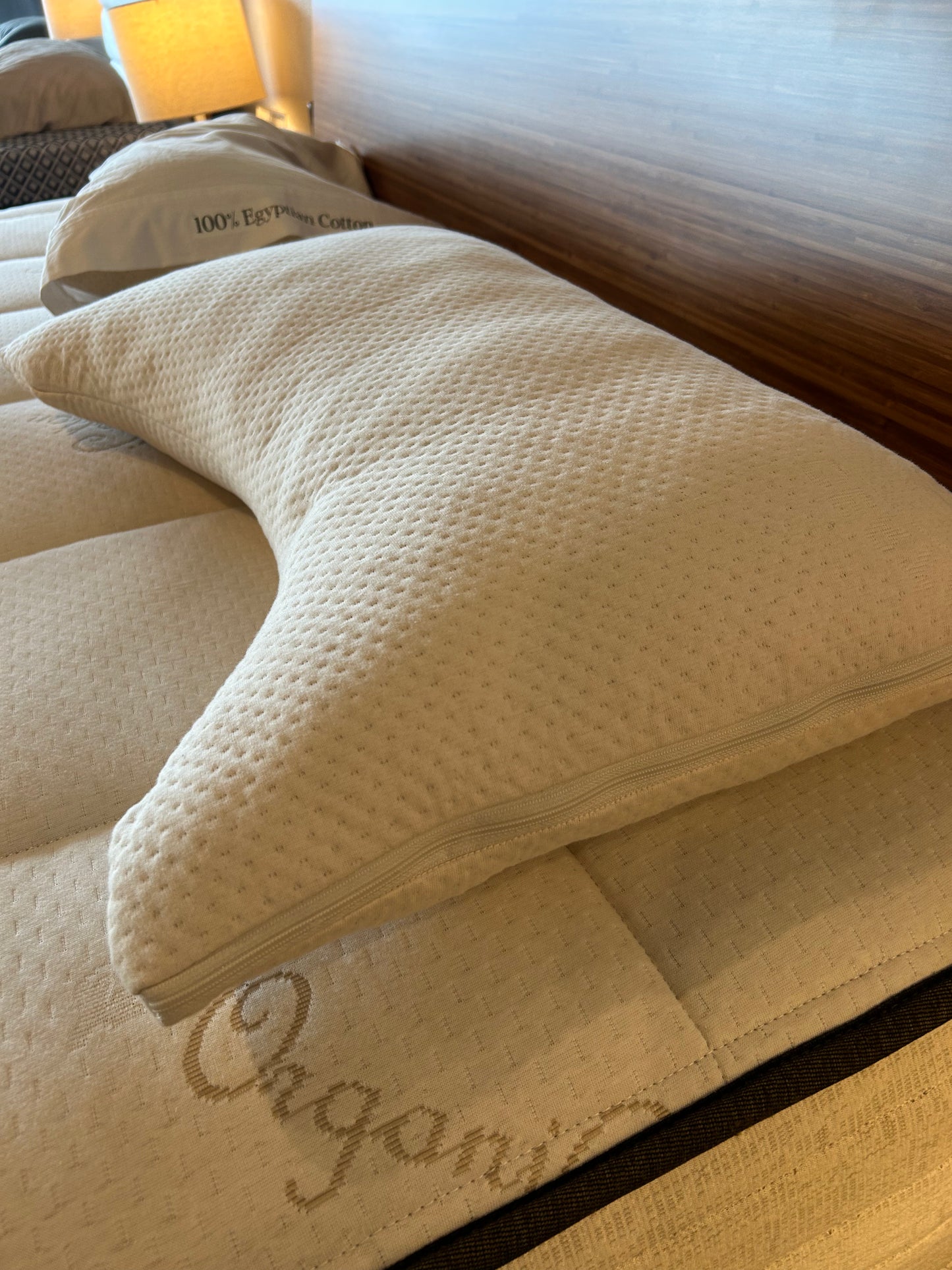 The Dream Pillow - Side Sleeper - Standard