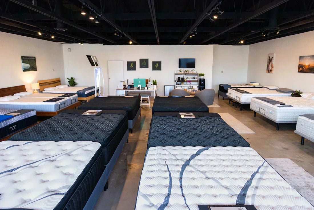 Sleep Basil best mattress selection Denver