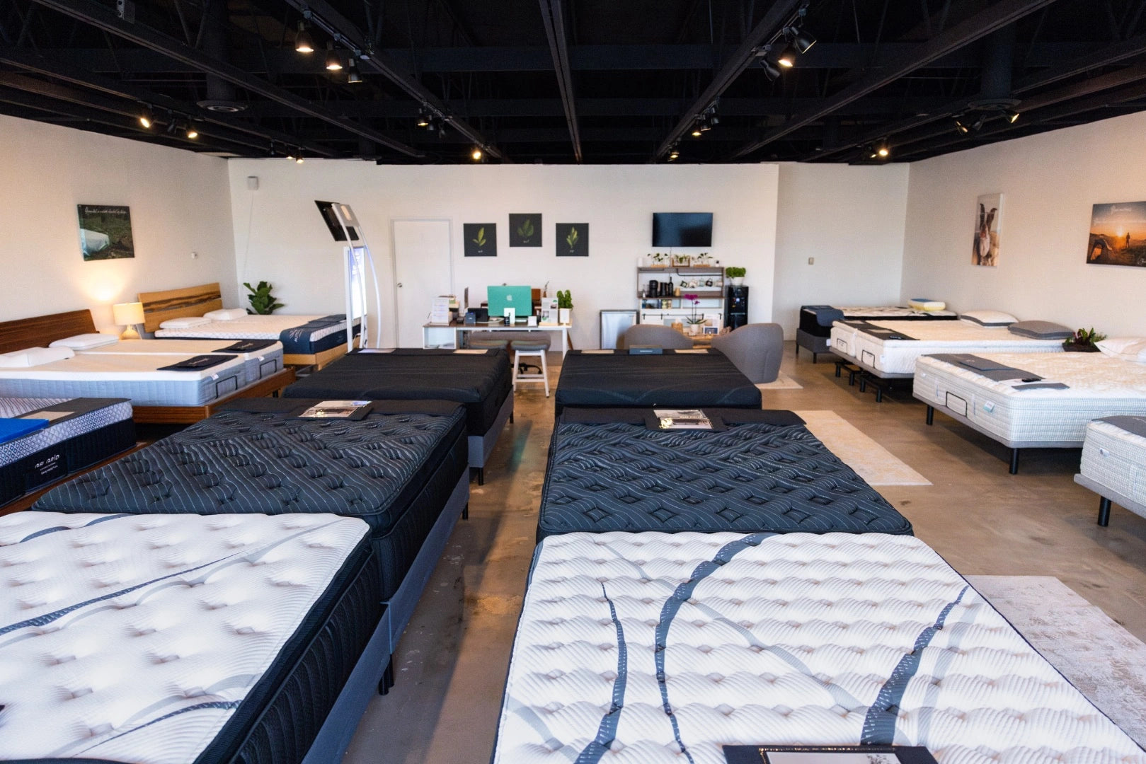 Sleep Basil  showroom South Denver